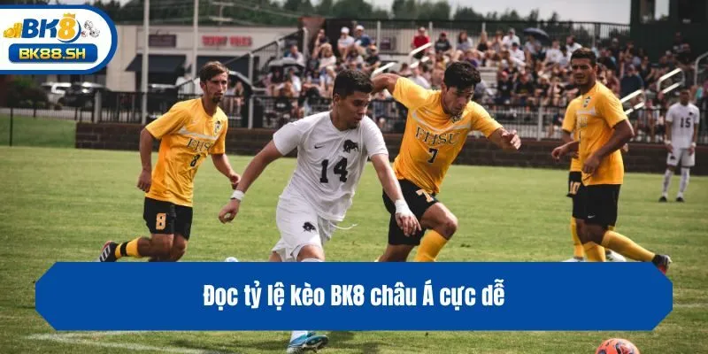 Đọc tỷ lệ kèo BK8 châu Á cực dễ