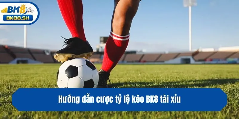 Hướng dẫn cược tỷ lệ kèo BK8 tài xỉu